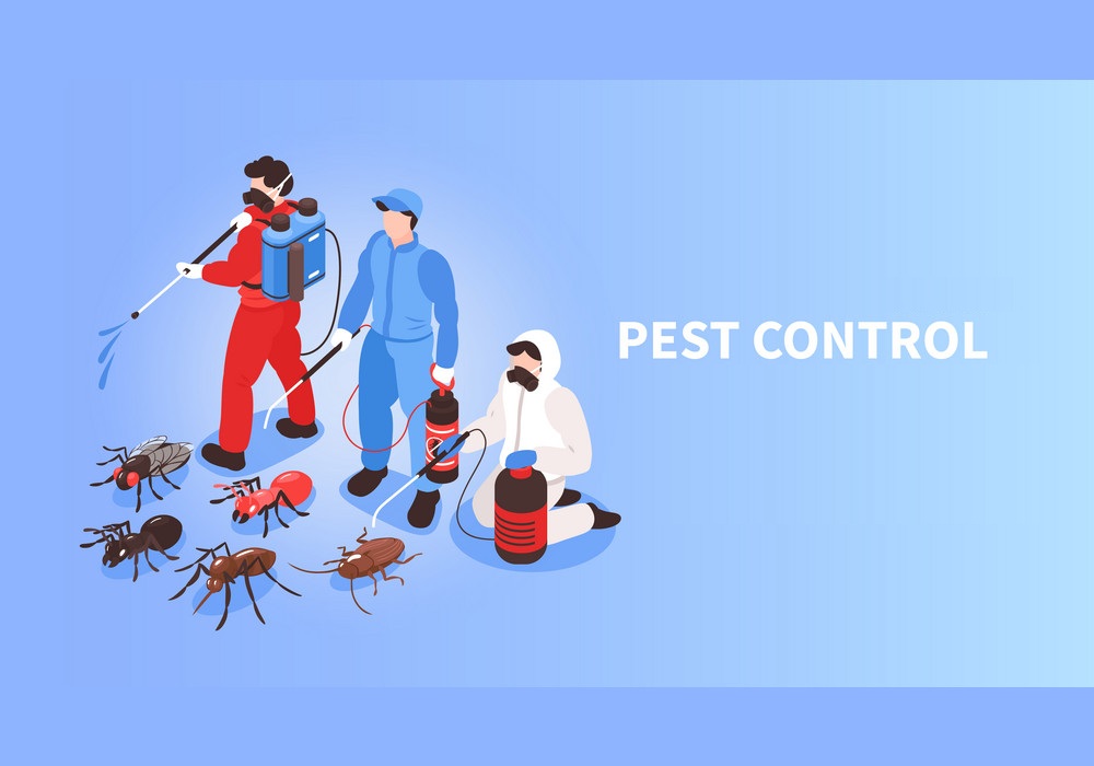 Pest Control London