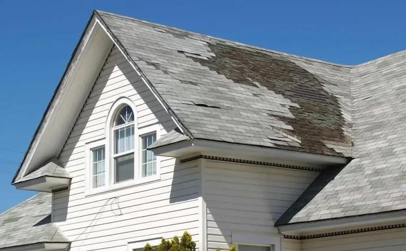 Asphalt Shingle Roof