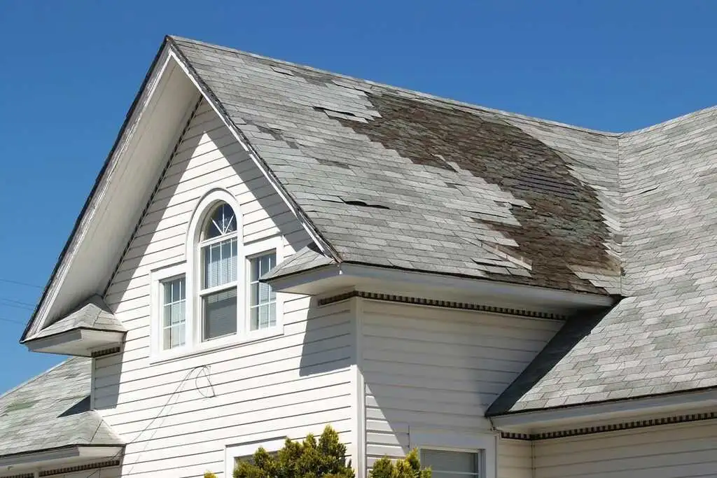 Asphalt Shingle Roof